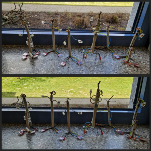 Im NW-Unterricht wurden Nymi-Männchen gebaut